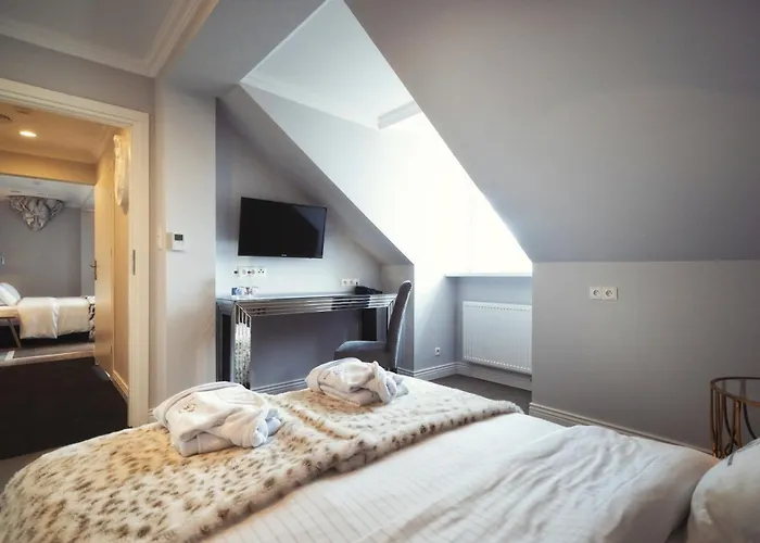 Hotel Pałac Alexandrinum 4*